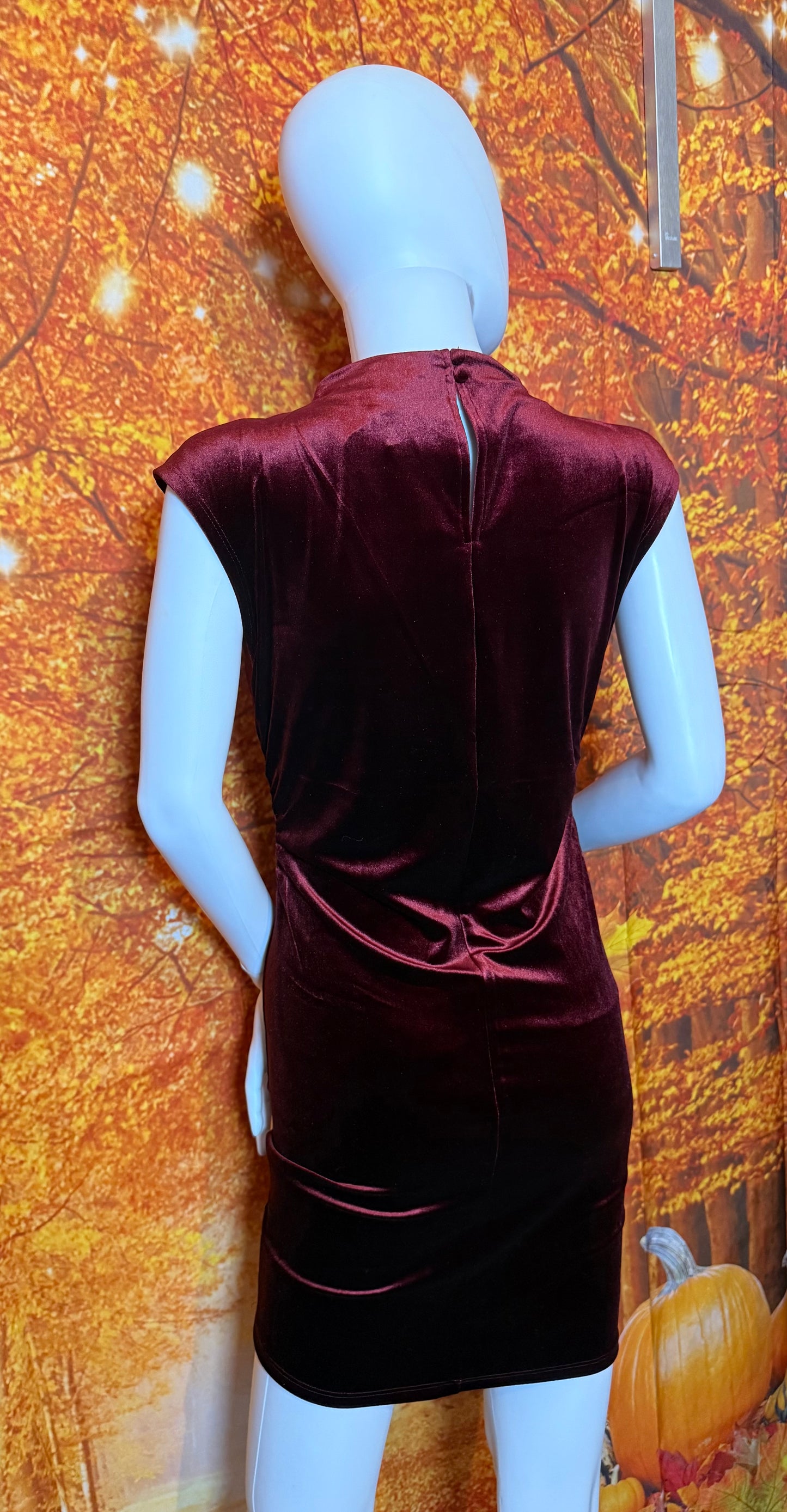 TWS1158 VELVET MOCK NECK SLEEVELESS MINI DRESS - RED WOOD