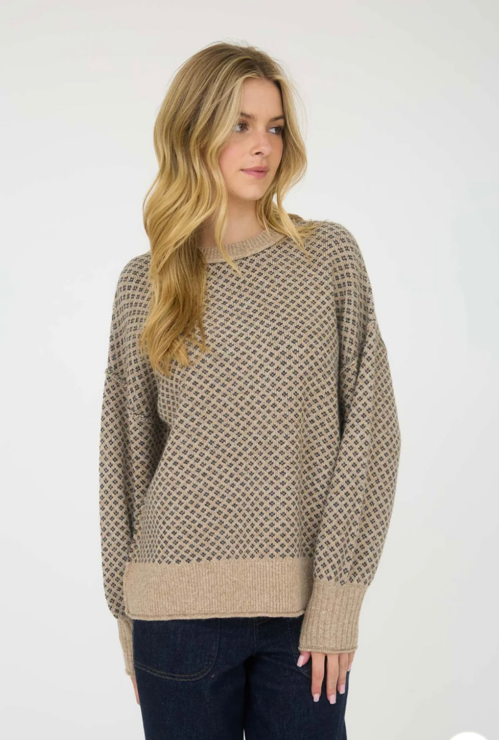 CR2714 MINI JACQUARD CREW NECK LONG SLEEVE KNIT SWEATER