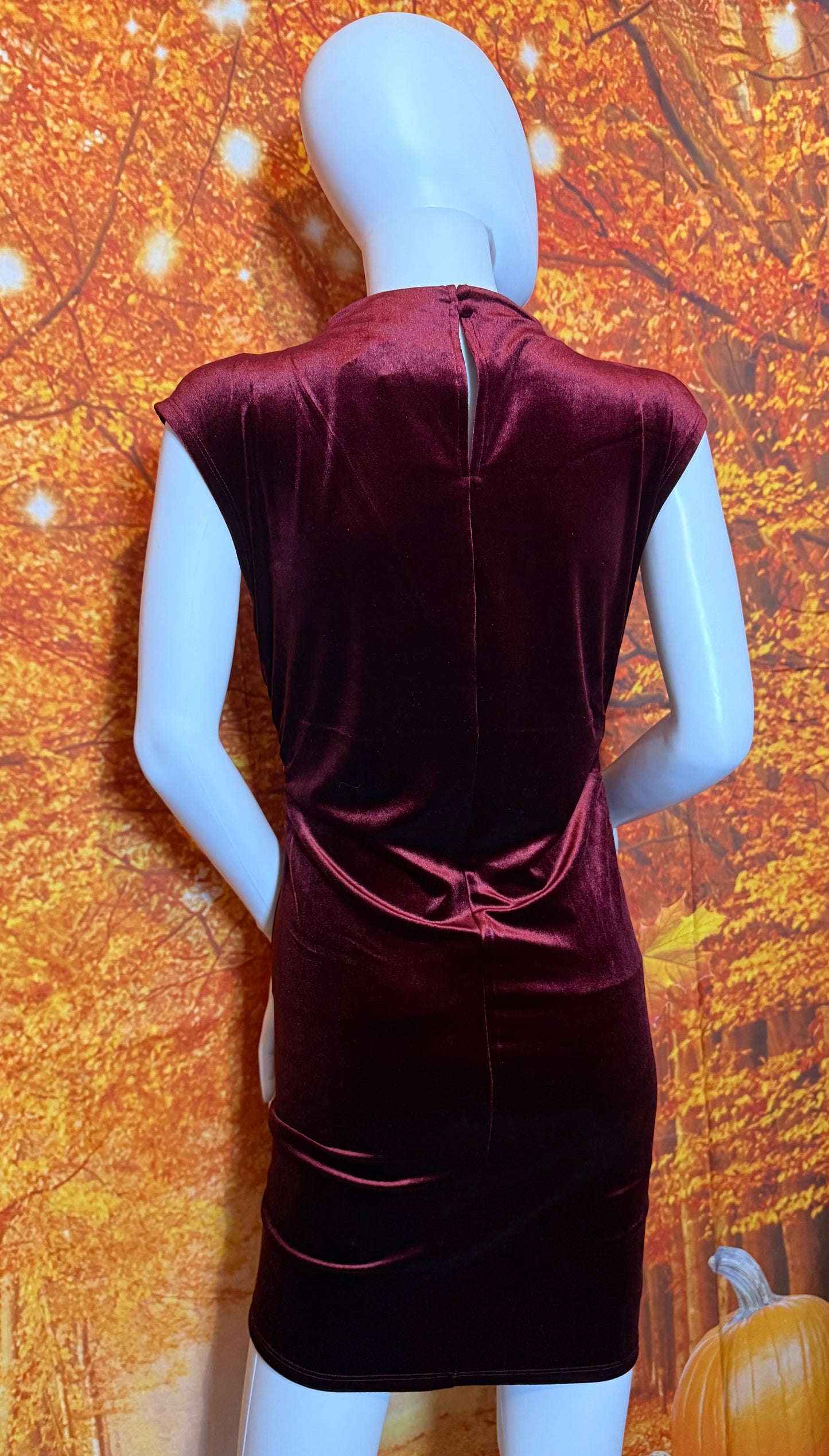 TWS1158 VELVET MOCK NECK SLEEVELESS MINI DRESS - RED WOOD