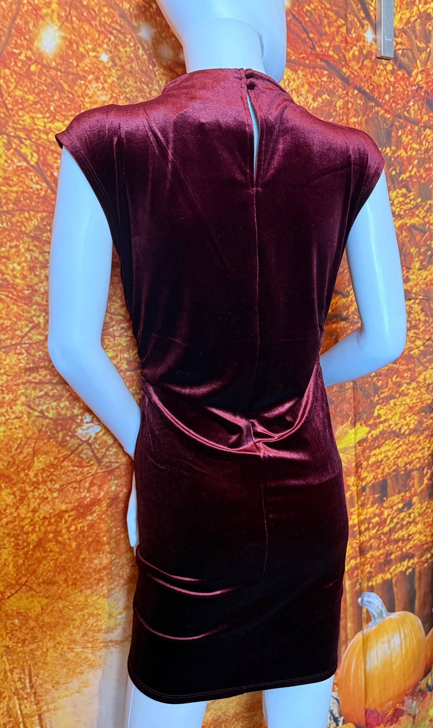 TWS1158 VELVET MOCK NECK SLEEVELESS MINI DRESS - RED WOOD