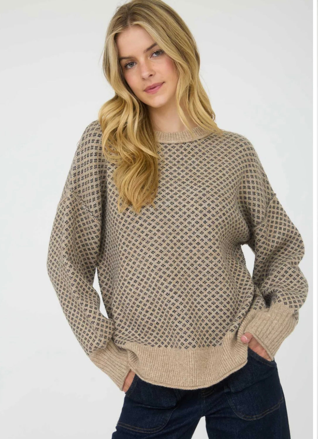 CR2714 MINI JACQUARD CREW NECK LONG SLEEVE KNIT SWEATER