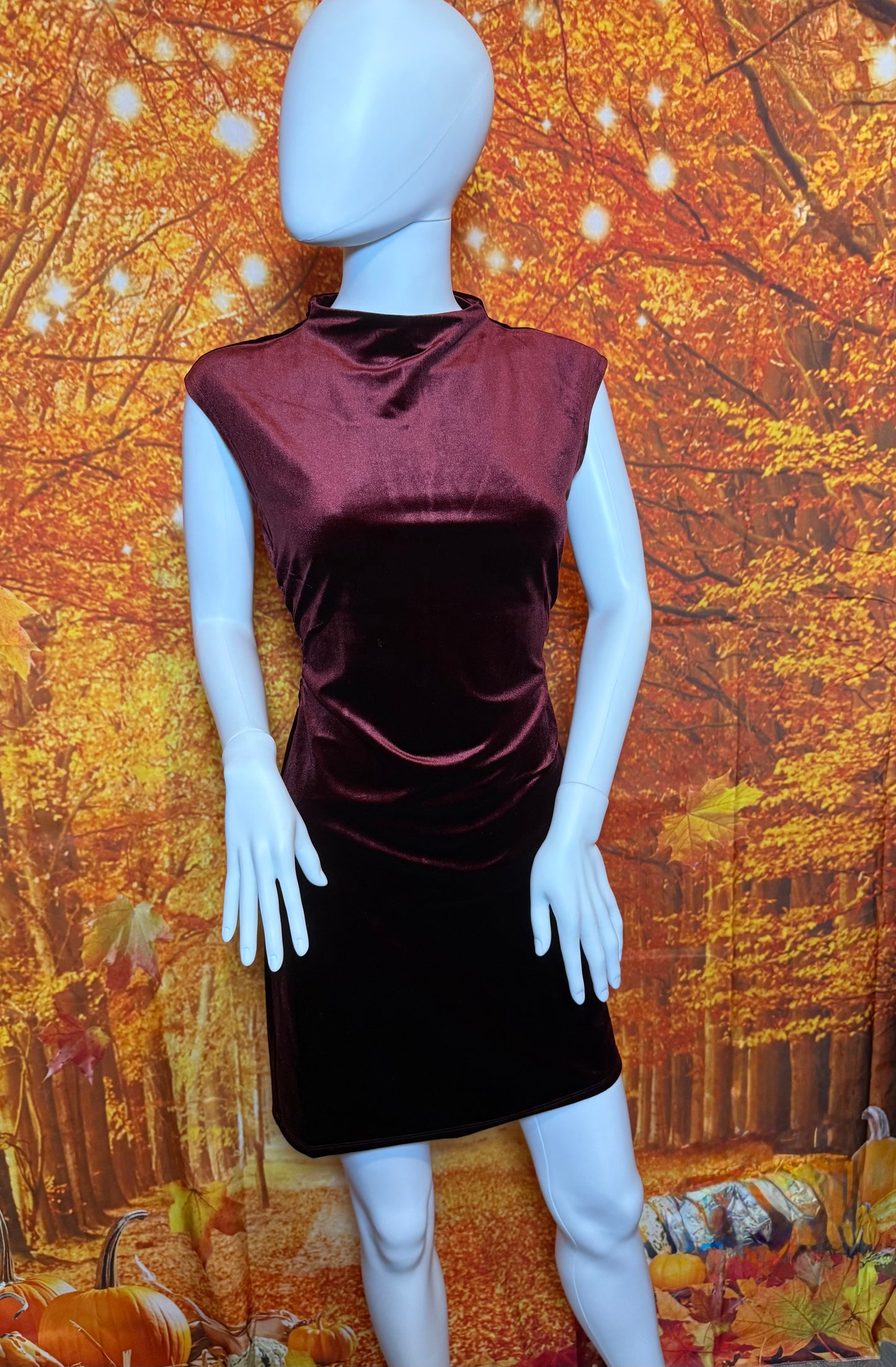 TWS1158 VELVET MOCK NECK SLEEVELESS MINI DRESS - RED WOOD