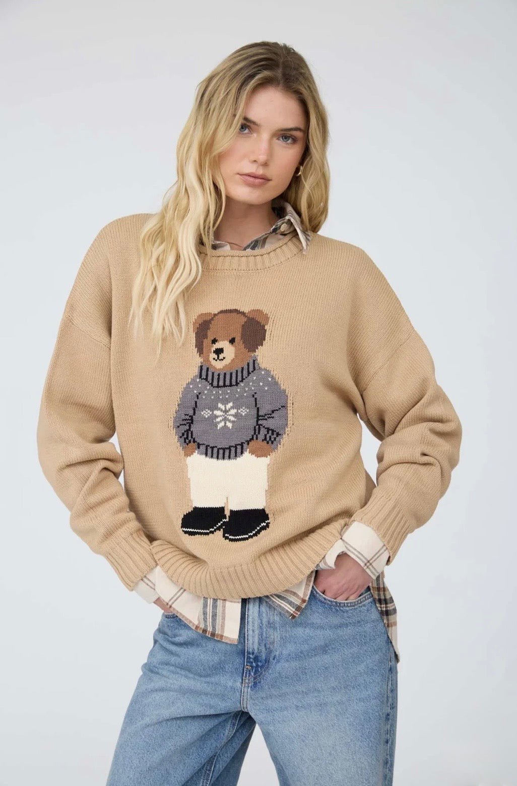 J6FT1016 TEDDY BEAR CREW NECK INTARSIA KNIT SWEATER