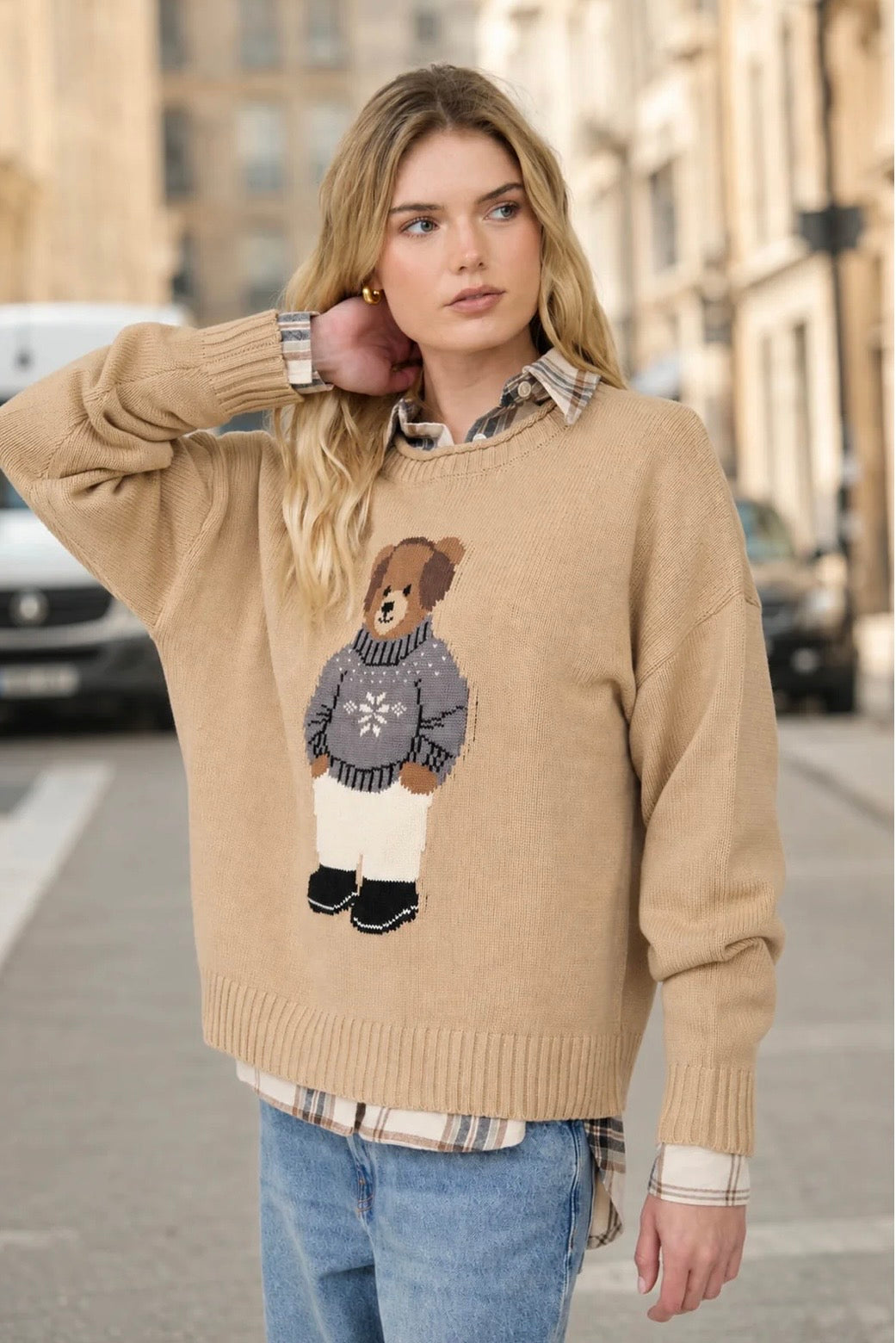 J6FT1016 TEDDY BEAR CREW NECK INTARSIA KNIT SWEATER