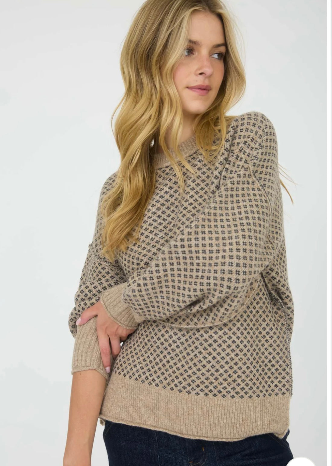 CR2714 MINI JACQUARD CREW NECK LONG SLEEVE KNIT SWEATER